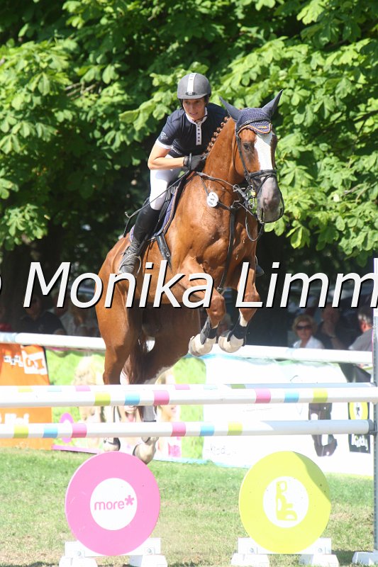 308M3737_Calisto_Springpferde Mx.JPG